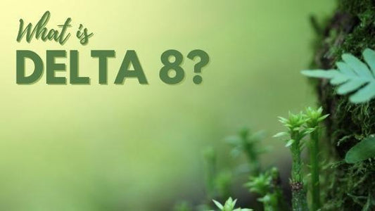 What Is Delta 8 THC? Everything You Need to Know - CHC Distro