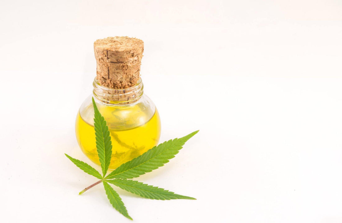 8 of the Best Ways to Take CBD Oil For Maximum Effect - CHC Distro