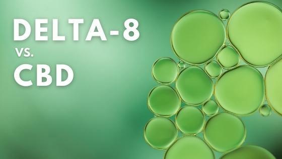 Delta 8 vs CBD: What’s The Difference Between The Two? - CHC Distro