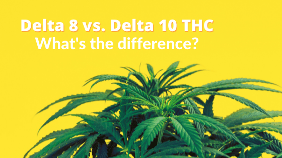 Delta 8 vs Delta 10 What's the Difference - CHC Distro