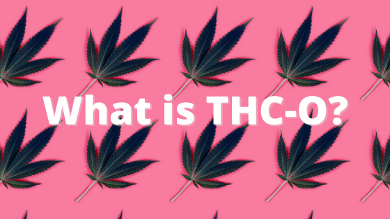 THC-O Acetate Why We Love It (And You Should, Too!) - CHC Distro