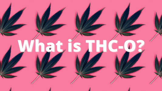 THC-O Acetate Why We Love It (And You Should, Too!) - CHC Distro