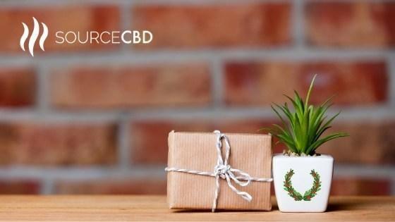 The Ultimate 2020 CBD Holiday Gift Guide - CHC Distro