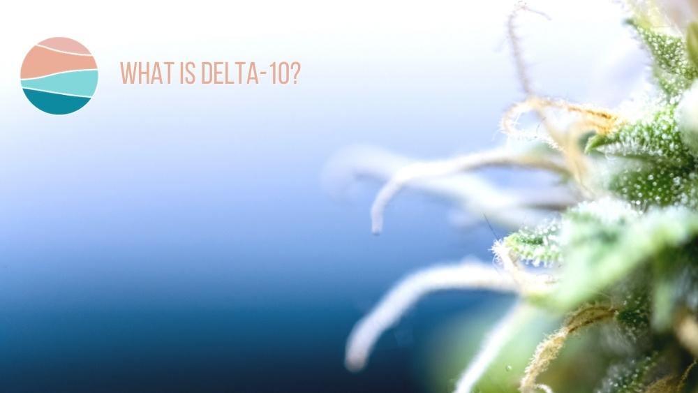 What is Delta 10? Everything You Need To Know About Delta 10 THC. - CHC Distro