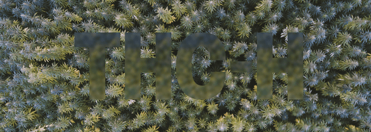 What is THC-H and what are the Effects - Learn More - CHC Distro