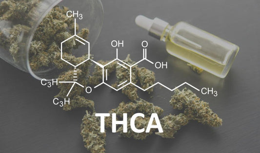 What is THCA - How is THCA different from THC - CHC Distro