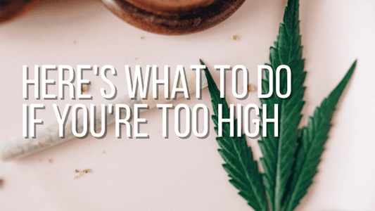 What To Do If You're Too High: 9 Ways To Stop Feeling High - CHC Distro